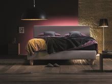 Lade das Bild in den Galerie-Viewer, Vega Sonderedition