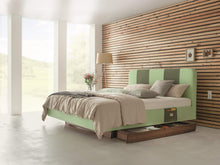 Lade das Bild in den Galerie-Viewer, Clia 1 Ambiente Dormiente