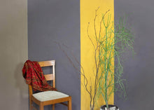Lade das Bild in den Galerie-Viewer, Vollton Bindemittel