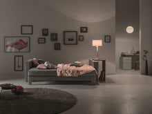 Lade das Bild in den Galerie-Viewer, Zedulo_3