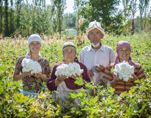 Lade das Bild in den Galerie-Viewer, Cotonea Herkunftsland Bio Baumwolle