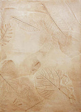 Lade das Bild in den Galerie-Viewer, Wandlasur Bindemittel