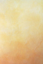 Lade das Bild in den Galerie-Viewer, Wandlasur Bindemittel
